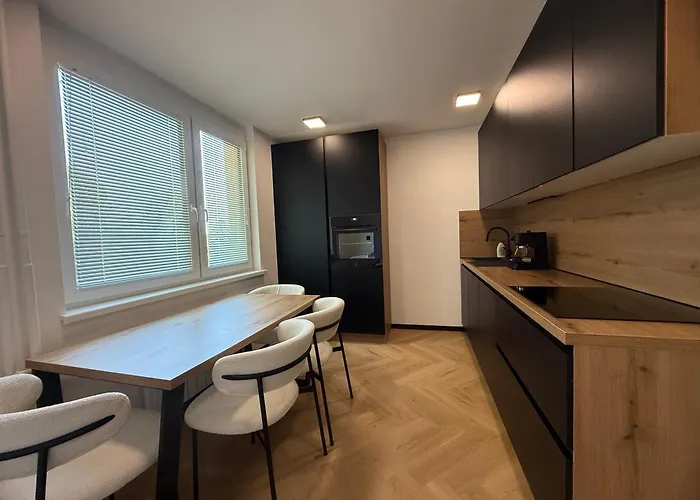 公寓 Moderno Stanovanje - 普图伊